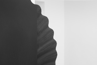 Miriam Jonas, Coco, 2017, Galerie Russi Klenner, Berlin