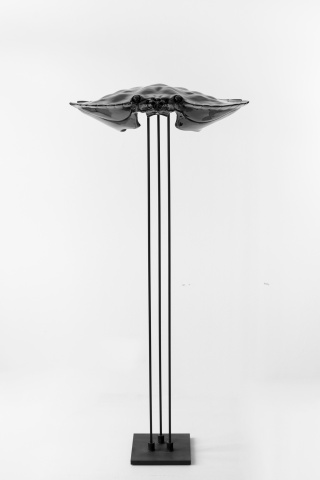 Miriam Jonas, Boss, 2015