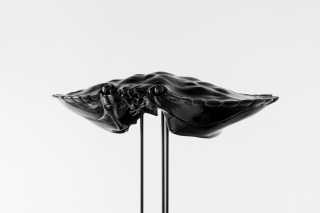 Boss, 2016 Miriam Jonas, Boss, 2015