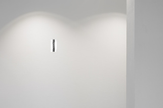 Rapunzel, 2017 Miriam Jonas, Rapunzel, 2017, Kunstverein Greven