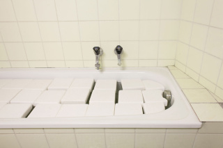 Miriam Jonas, Zelle, 2013