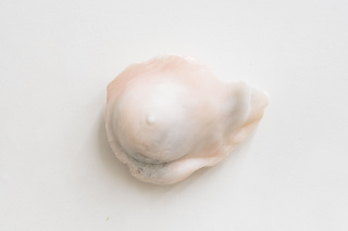 Miriam Jonas, Augenblick, 2018, Resort, Galerie Russi Klanner